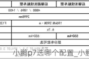 小鹏p7选哪个配置_小鹏p7推荐配置