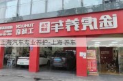 上海汽车专业养护-上海 养车