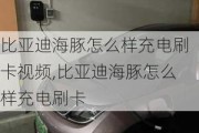 比亚迪海豚怎么样充电刷卡视频,比亚迪海豚怎么样充电刷卡