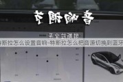 特斯拉怎么设置音响-特斯拉怎么把音源切换到蓝牙