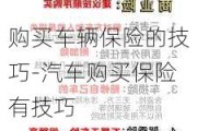 购买车辆保险的技巧-汽车购买保险有技巧