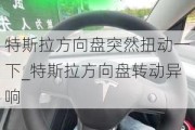 特斯拉方向盘突然扭动一下_特斯拉方向盘转动异响