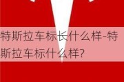 特斯拉车标长什么样-特斯拉车标什么样?