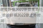 欧拉好猫2022新款落地价_欧拉好猫2022款上市时间