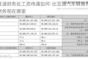 比亚迪财务处工资待遇如何-比亚迪汽车销售有限公司财务部在哪里