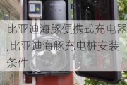 比亚迪海豚便携式充电器,比亚迪海豚充电桩安装条件