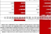 比亚迪海豚配置参数配置,比亚迪海豚高配版