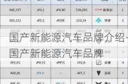 国产新能源汽车品牌介绍-国产新能源汽车品牌