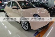 欧拉好猫是什么品牌车_欧拉好猫是什么车