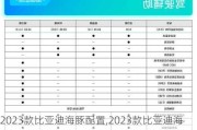 2023款比亚迪海豚配置,2023款比亚迪海豚配置参数表