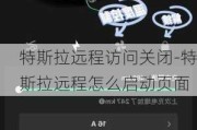 特斯拉远程访问关闭-特斯拉远程怎么启动页面