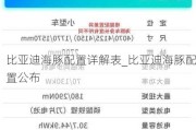 比亚迪海豚配置详解表_比亚迪海豚配置公布