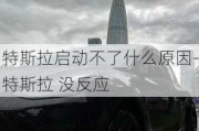 特斯拉启动不了什么原因-特斯拉 没反应