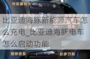 比亚迪海豚新能源汽车怎么充电_比亚迪海豚电车怎么启动功能