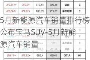 5月新能源汽车销量排行榜公布宝马SUV-5月新能源汽车销量