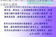 车辆附着力减小是什么意思-汽车附着力变小是什么意思