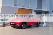 比亚迪电动汽车2023年新款海豚-比亚迪电动汽车2023年新款