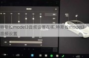 特斯拉model3音频设置在哪,特斯拉model3音频设置