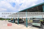 武汉新能源汽车,武汉新能源汽车充电设施建设有限公司