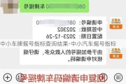 中小车牌摇号指标查询结果-中小汽车摇号指标