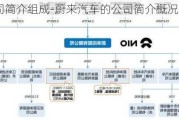 蔚来公司简介组成-蔚来汽车的公司简介概况