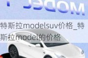 特斯拉modelsuv价格_特斯拉model的价格