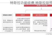 特斯拉功能收费,特斯拉软件收费明细