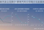 蔚来汽车公司简介-蔚来汽车公司简介与发展状况