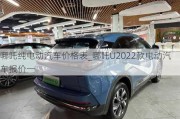 哪吒纯电动汽车价格表_哪吒U2022款电动汽车报价一