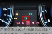 汽车仪表盘eco灯亮是怎么回事-车辆仪表盘eco亮了是什么意思