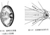 汽车前灯的反光装置是凹面镜还是凸面镜-汽车前灯内的反光镜是平面镜还是凹面镜还是凸面镜