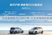 比亚迪海鸥2022款价格-比亚迪海鸥新能源汽车