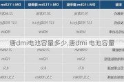 唐dmi电池容量多少,唐dmi 电池容量