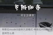 特斯拉model3音响沉浸模式-特斯拉model3高级音响怎么调