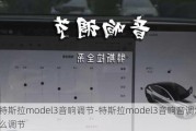 特斯拉model3音响调节-特斯拉model3音响音调怎么调节