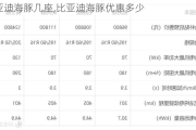 比亚迪海豚几座,比亚迪海豚优惠多少