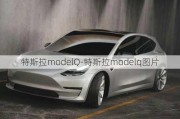 特斯拉modelQ-特斯拉modelq图片