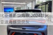 比亚迪新款海豚,2024款比亚迪海豚贝贝灰