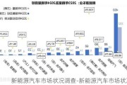 新能源汽车市场状况调查-新能源汽车市场状况