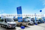 上海通用东岳汽车-上汽通用东岳汽车出口