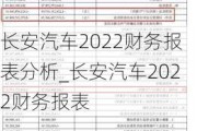 长安汽车2022财务报表分析_长安汽车2022财务报表