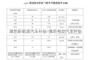 潍坊新能源汽车补贴-潍坊电动汽车补贴