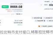 特斯拉比特币支付接口,特斯拉比特币支付