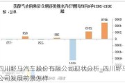 四川野马汽车股份有限公司现状分析_四川野马公司发展前景怎样