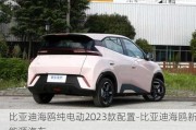 比亚迪海鸥纯电动2023款配置-比亚迪海鸥新能源汽车