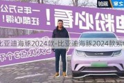 比亚迪海豚2024款-比亚迪海豚2024款紫色