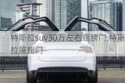 特斯拉suv30万左右翅膀门,特斯拉展翅门