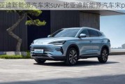 比亚迪新能源汽车宋suv-比亚迪新能源汽车宋plus