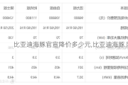 比亚迪海豚官宣降价多少元,比亚迪海豚 降价