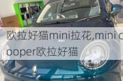 欧拉好猫mini拉花,mini cooper欧拉好猫